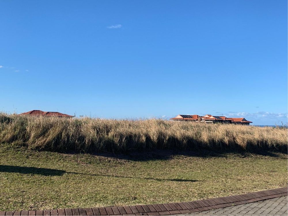 Open, level plot of land