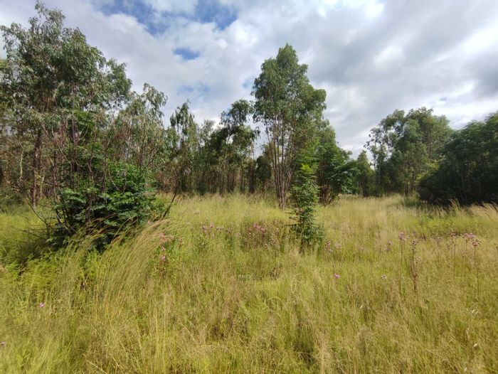 Property #2200000, Vacant Land Agricultural For Sale in Eldo Meadows