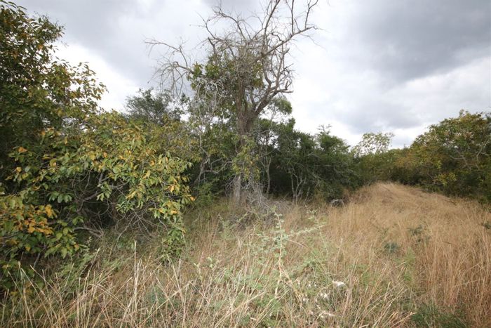 Property #1429950, Vacant Land Residential for sale in Moditlo Nature Reserve