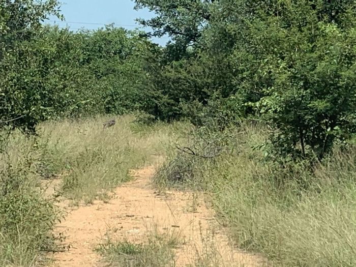 Property #1440973, Vacant Land Residential for sale in Mahlathini Private Game Reserve