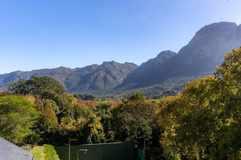 Beautiful Mountain Views