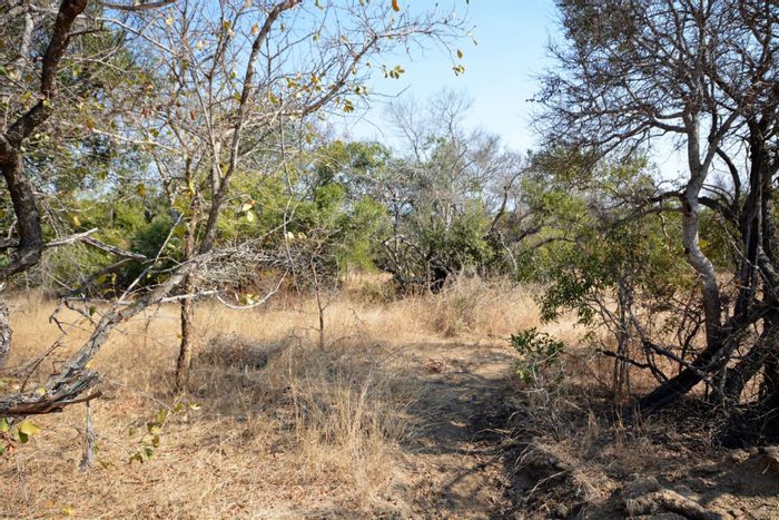 Property #1436446, Vacant Land Residential for sale in Moditlo Nature Reserve