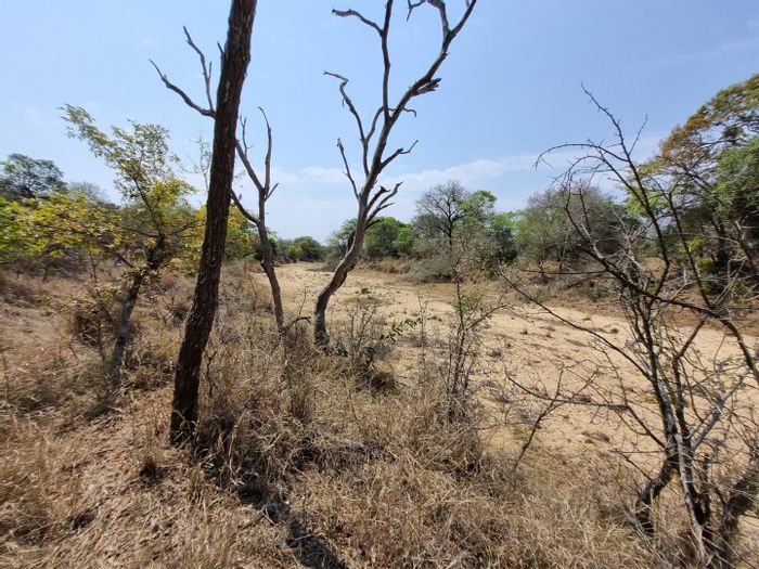 Property #2194134, Vacant Land Residential for sale in Moditlo Nature Reserve