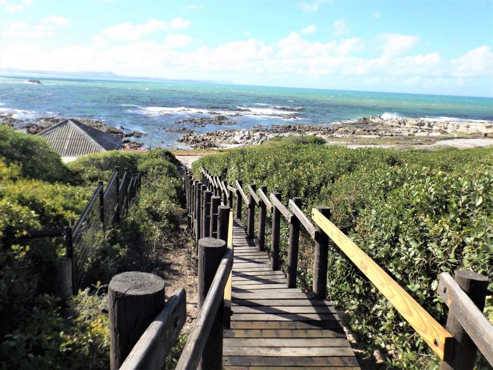 Let us take a walk down to the Ocean - via the staircase about 350 metres away.