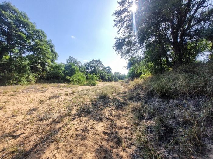 Vacant Land Residential For Sale in Moditlo Nature Reserve with river views and wildlife.