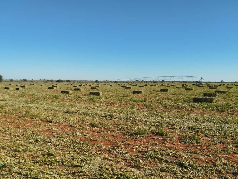 overview of farm land