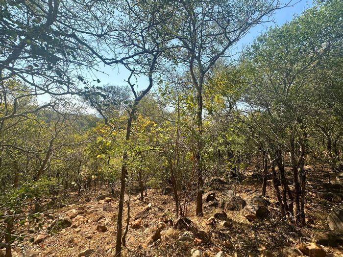 Canyon Game Reserve: For Sale - Vacant Land Residential with wildlife, views, and services.