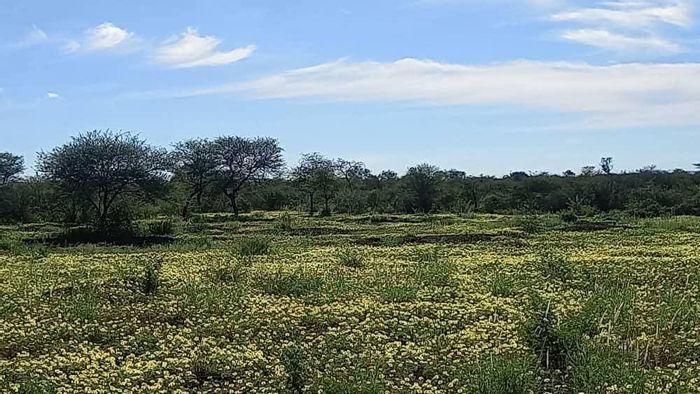 Property #2399403, Farm For Sale in Outjo Central