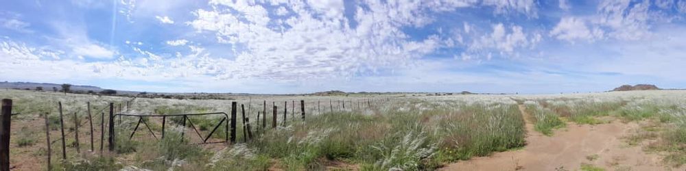 View of the field after the rain. 