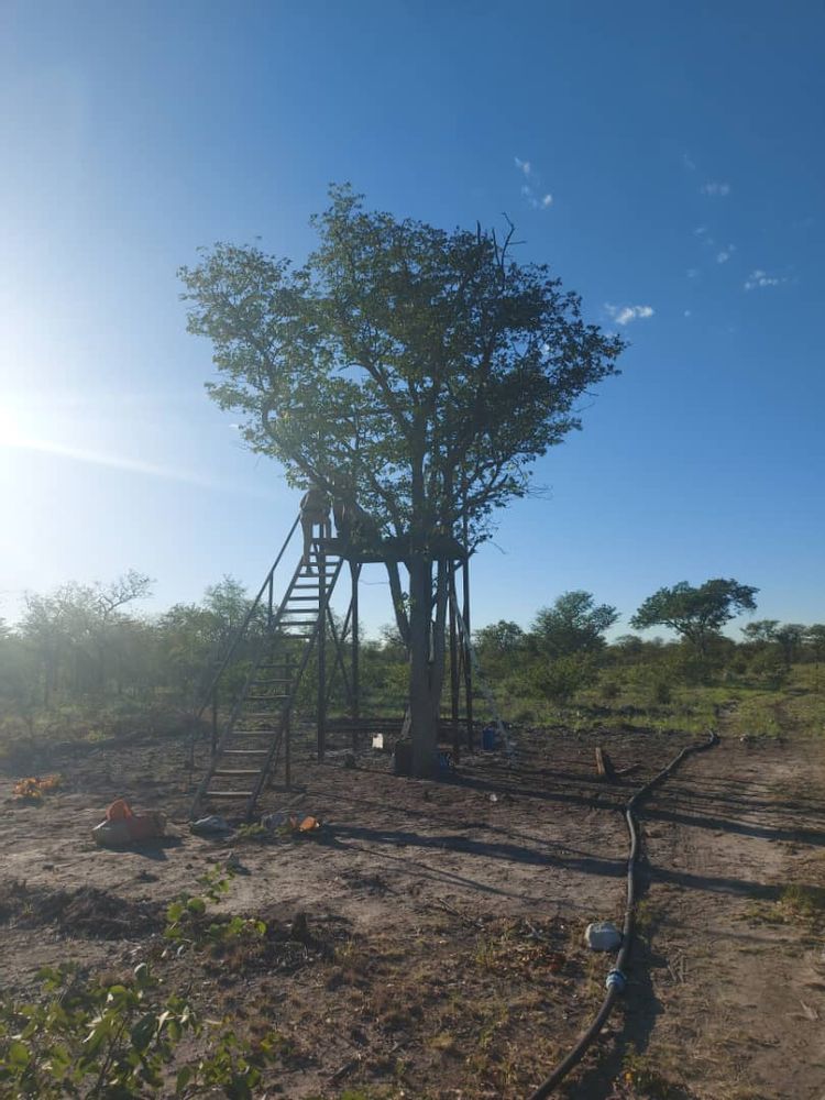 Hunting hide supported by the tree that also acts as cover