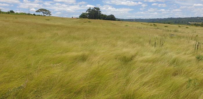 Farm for Sale in White River AH: 35ha, water rights, arable land, and flat.