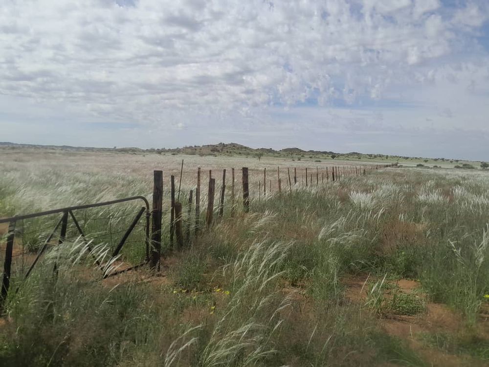 View of the field after the rain. 