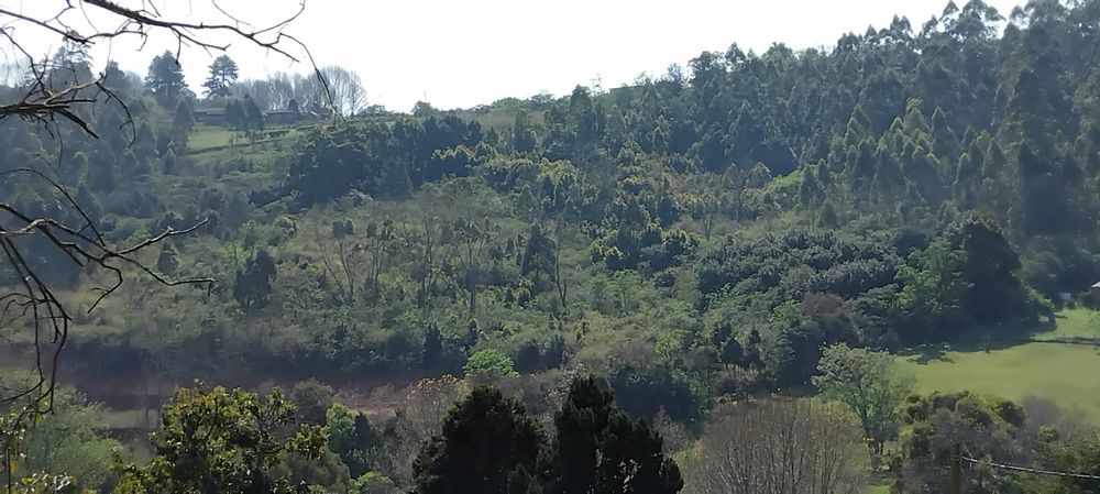 Looking across the valley towards Alverstone ridge.