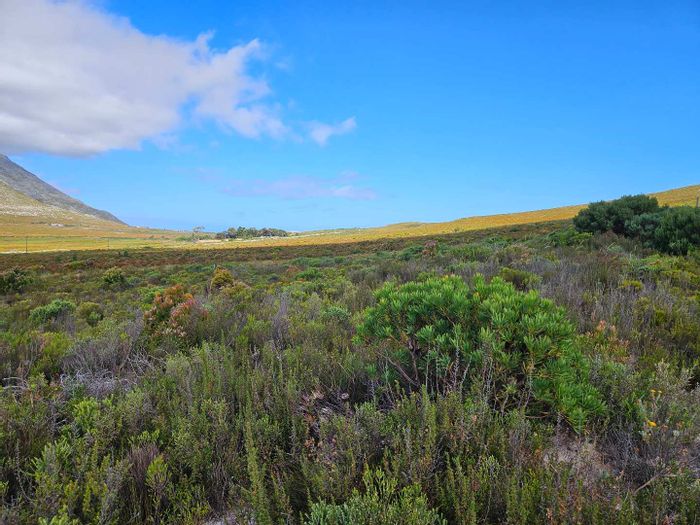 Property #2205654, Vacant Land Residential for sale in Pringle Bay Central