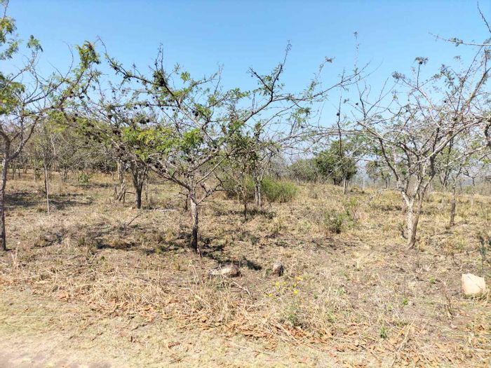 Property #2060963, Vacant Land Residential for sale in Nelspruit Rural