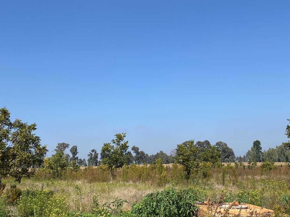 Land for pecan nut trees