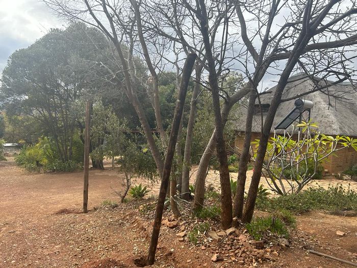 Luxurious Guest House For Sale, Elandsfontein AH - Business Package Included