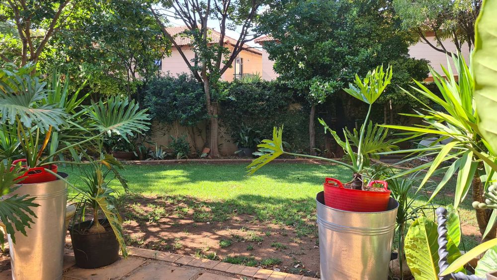Spacious garden