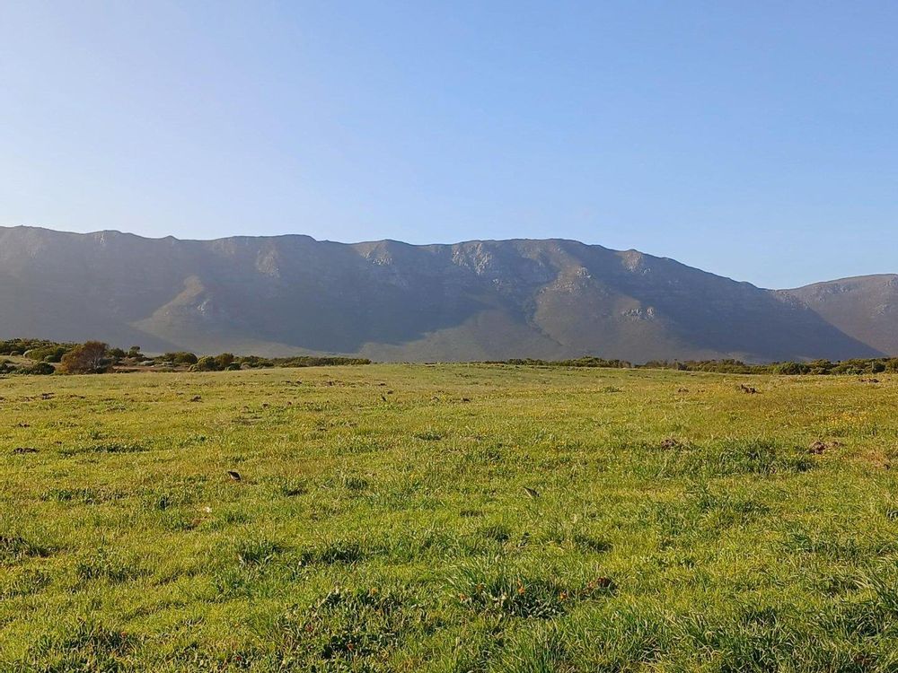 PERMANENT MOUNTAIN VIEW.