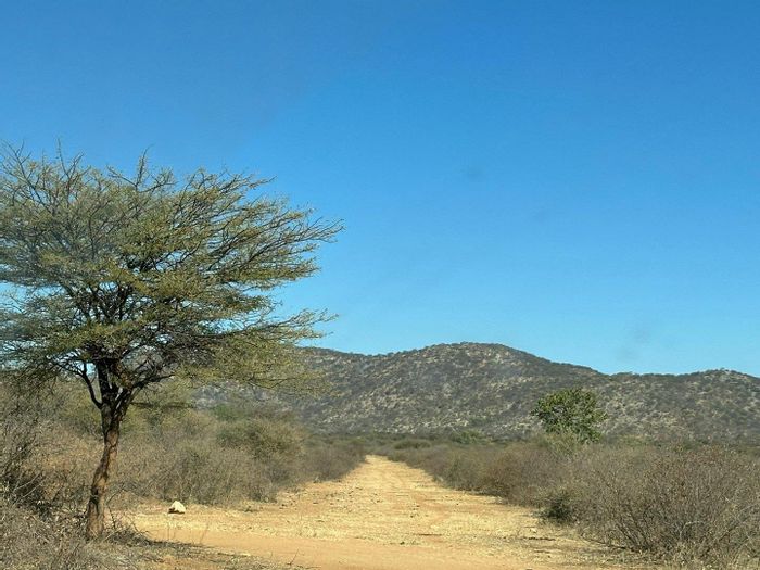 For Sale: Otavi Central Farm with income streams, game, and extensive water resources.