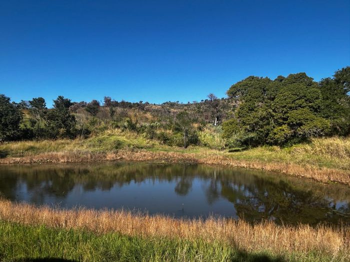 Tzaneen Rural Farm For Sale: 10ha mango orchards, irrigation, guest accommodation, and more.