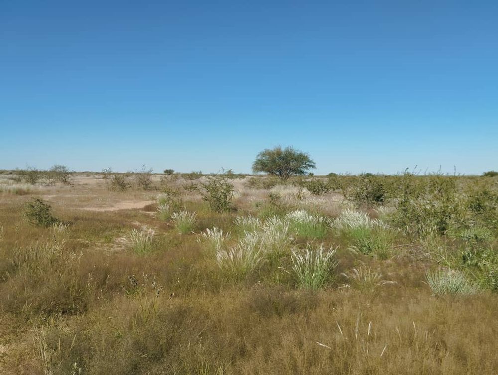 overview of farm land