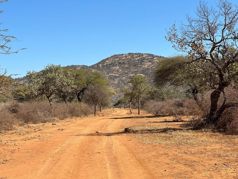 Roads are meticulously maintained with wide shoulders to double as fire breaks