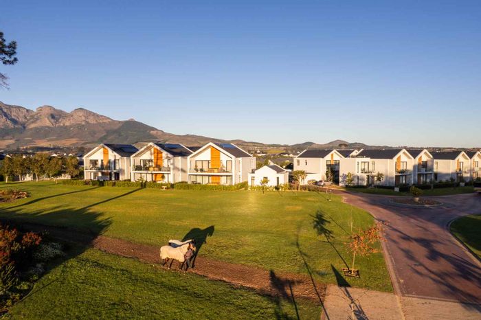 Prime Business Office To Rent in Val De Vie Estate, near amenities and polo field.