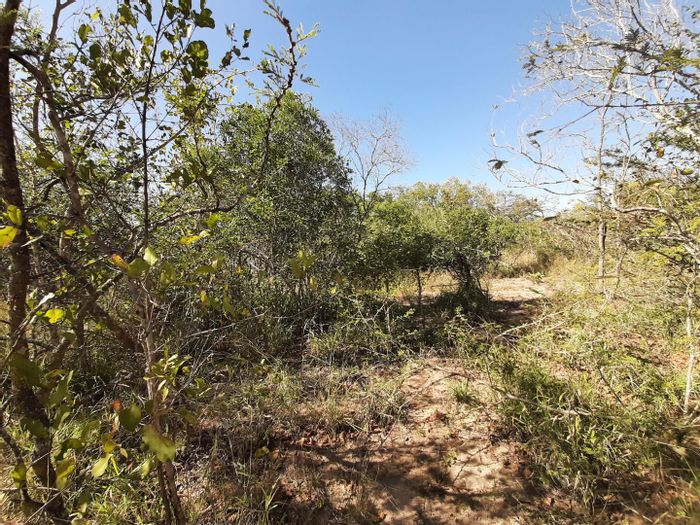 Property #2078967, Vacant Land Residential for sale in Moditlo Nature Reserve
