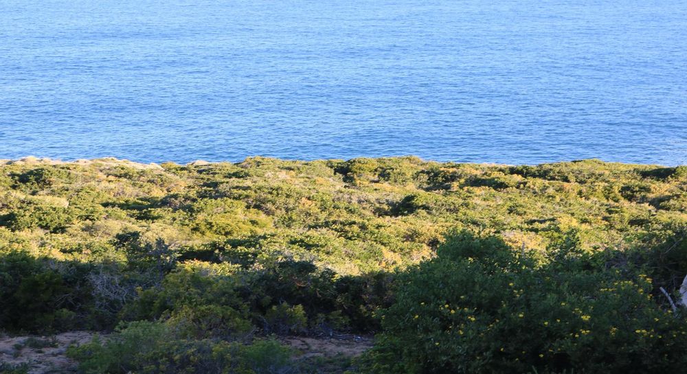 339 Oyster Bay Drive - Vacant Land