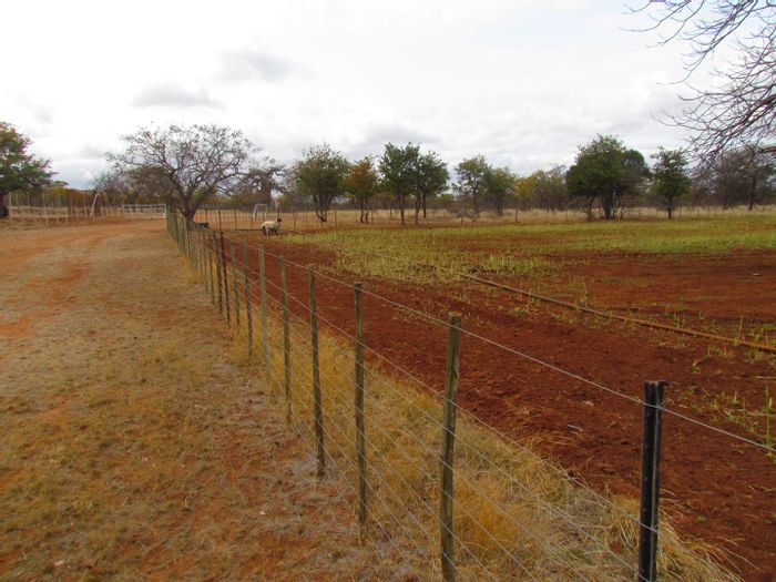 Property #2179568, Small Holding for sale in Musina