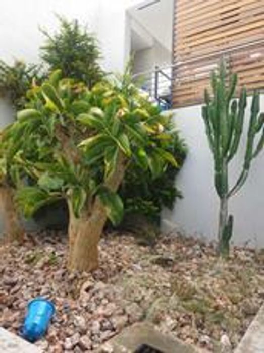 Property #2149386, Townhouse for sale in Klein Windhoek