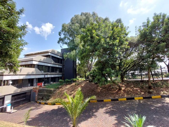 Office To Rent in Bedfordview Central: 614 sqm, open-plan, private offices, kitchen.