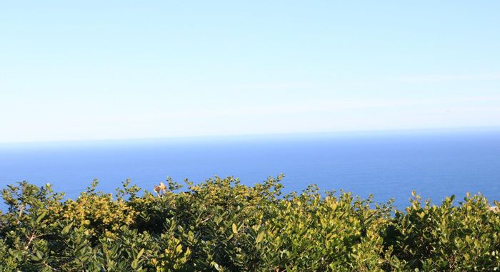 Property #2160858, Vacant Land Residential for sale in Pinnacle Point Golf Estate