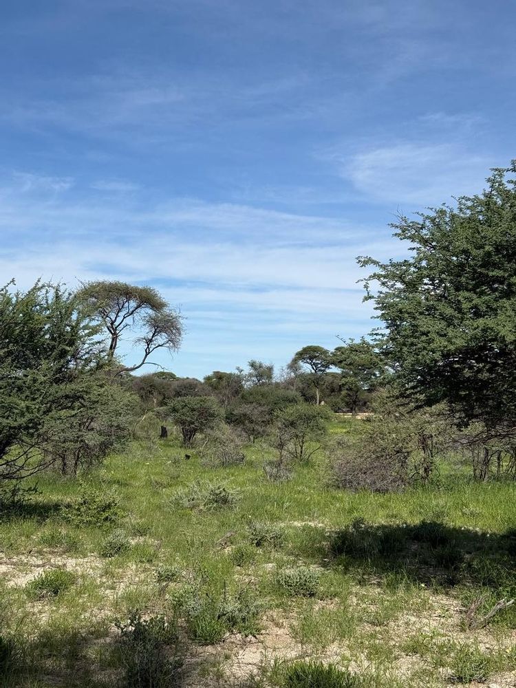 View of the field on the Farm