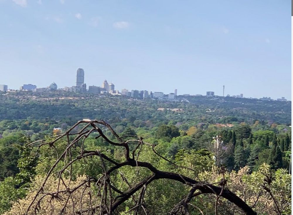 SANDTON IN THE DISTANCE