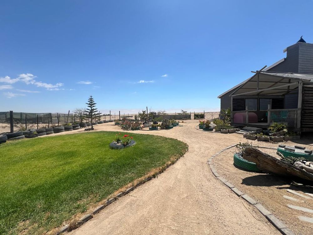 Front view of the house and garden