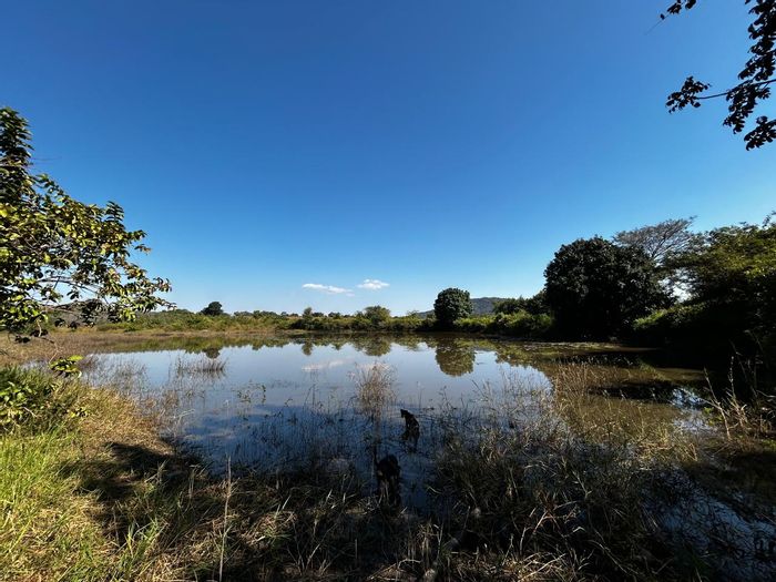 Frost-Free Farm in Tzaneen Rural For Sale: Water Security, Infrastructure, and Versatile Use.