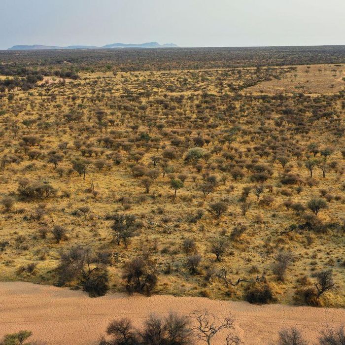 Property #2431450, Small Holding For Sale in Okahandja Central