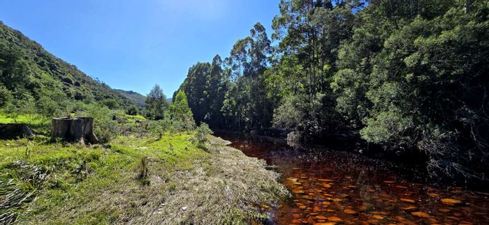 Ruiterbos Farm For Sale: Riverfront, hiking trails, guest cottage, arable land.