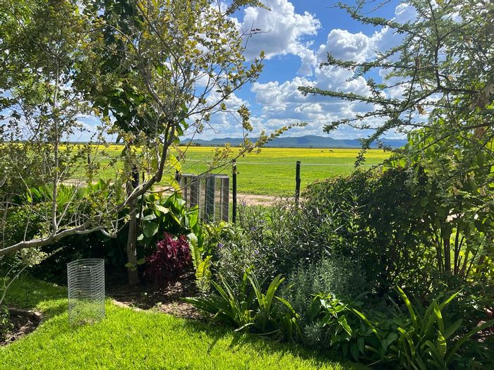 Property #2433356, Farm For Sale in Grootfontein Central