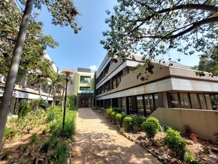 Versatile 283 sqm office with private balcony in Bedfordview Central, To Rent.