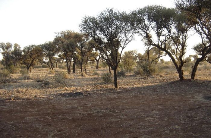 Property #2048531, Vacant Land Agricultural for sale in Northam