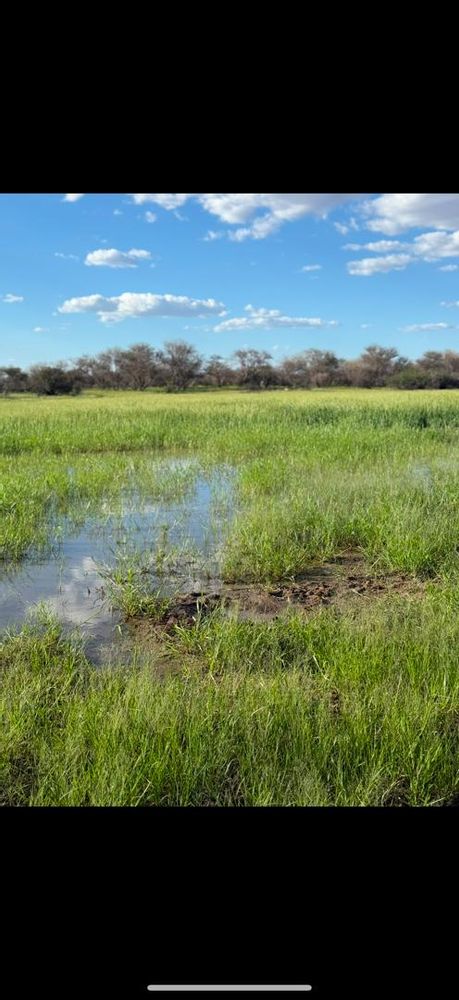 View of the field on the Farm