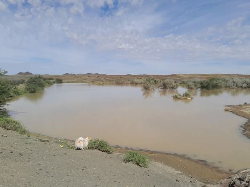 View of the soil dam