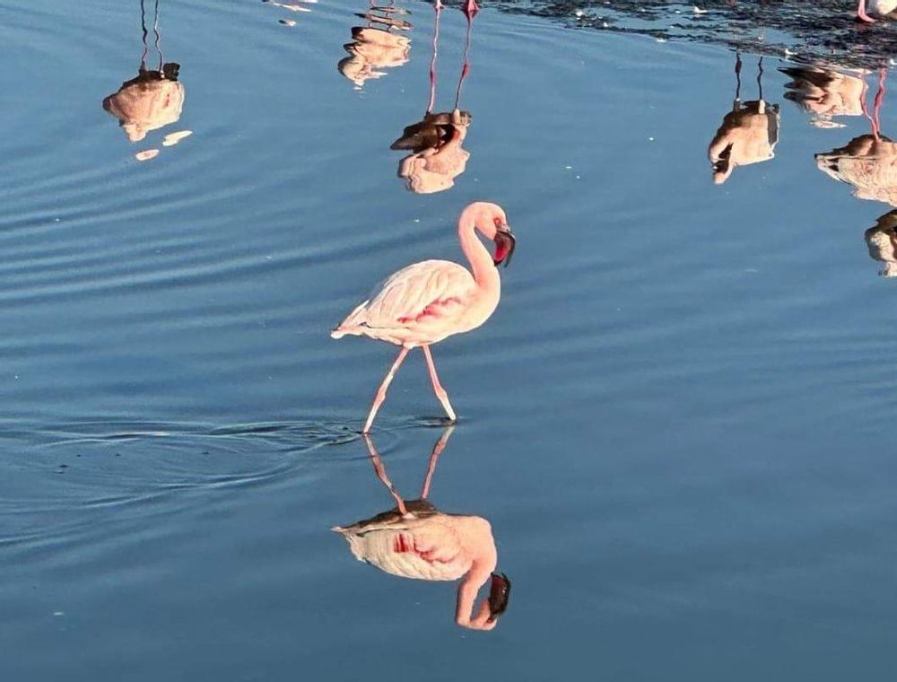 Walvis Bay Lagoon