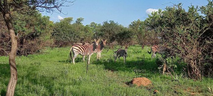 Vacant Agricultural Land for Sale in Kameelfontein, Private Game Reserve Access.