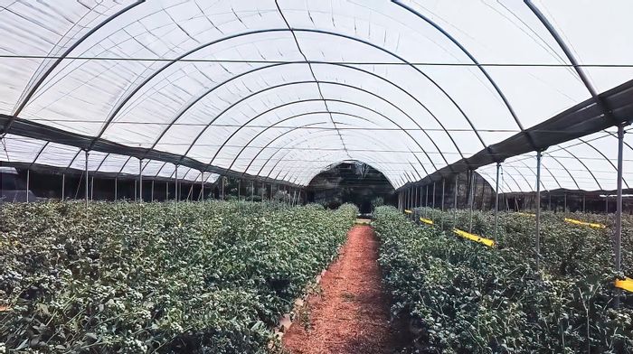 Property #2090055, Farm for sale in Grabouw