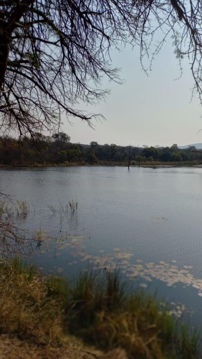 Property #2262093, Farm for sale in Naboomspruit