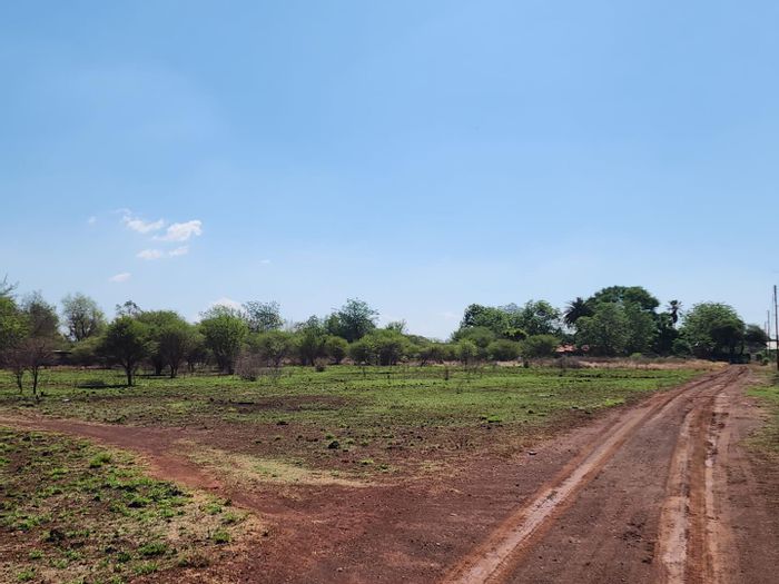 Vacant Agricultural Land for Rent in Onderstepoort, ideal for livestock farming.